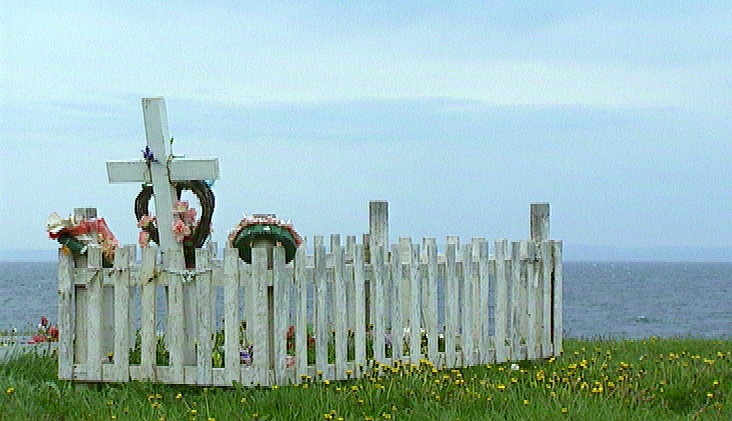 oublies de terreneuve.jpg